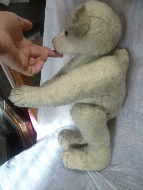 Humpback Teddy Bear Rare - Etsy 