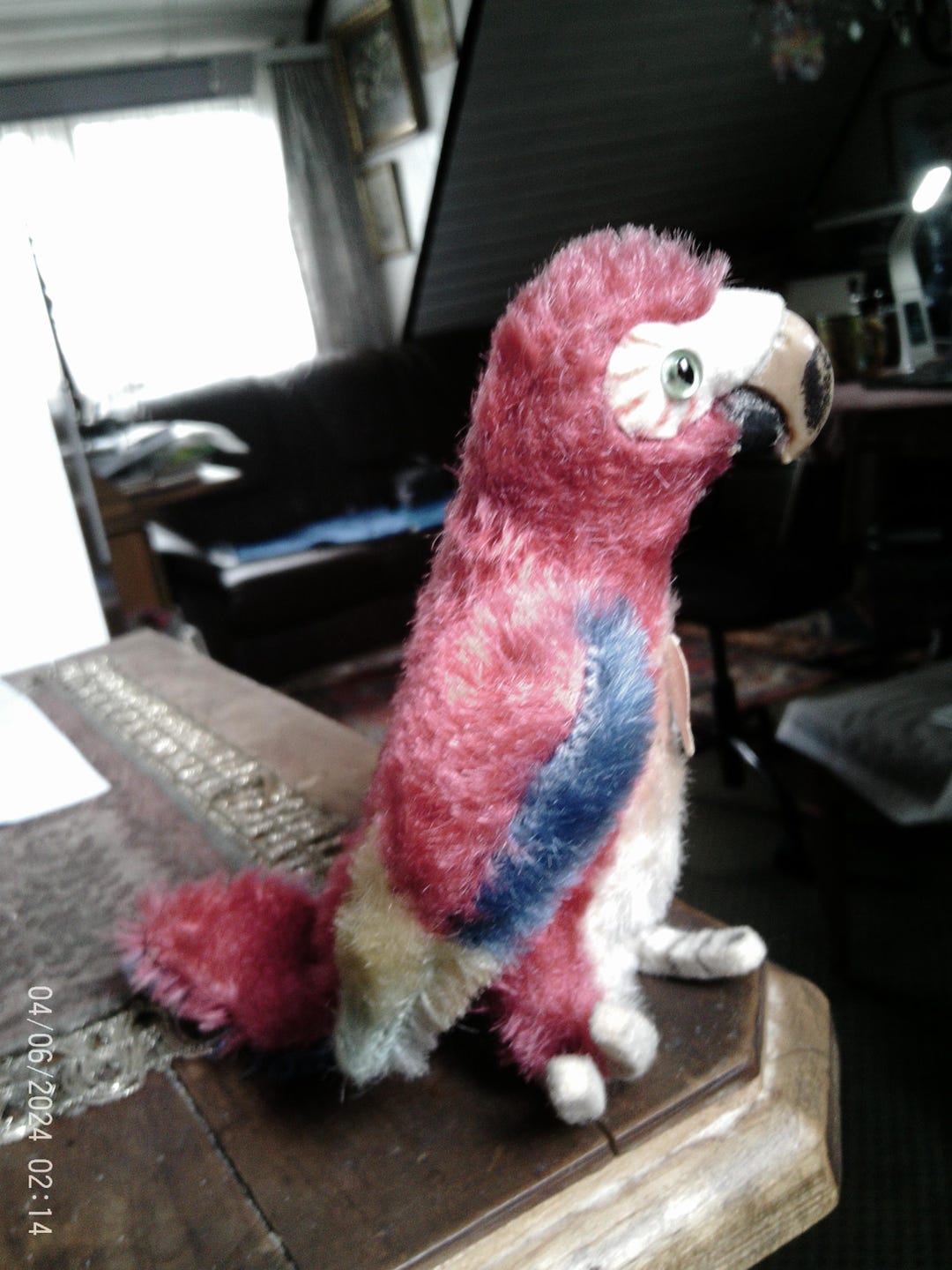Steiff オウム parrot lora ボタン付 12cm ヴィンテージ Vintage Steiff Lora Parrot 12 Cm Flag Button Title Display Case - Etsy
