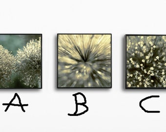 3-4 piece photo set grass detail - art print poster - 20x20 30x30 40x40 50x50