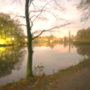Lake at Night Photo - Poster Canvas or Hard Foam - 10x15 20x30 30x45 40x60 50x75 60x90 80x120 100x150 - Pond Landscape Trees Water Fine Art