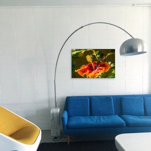 Anger Management Hibiscus and Rufous Hummingbird - Metal Art