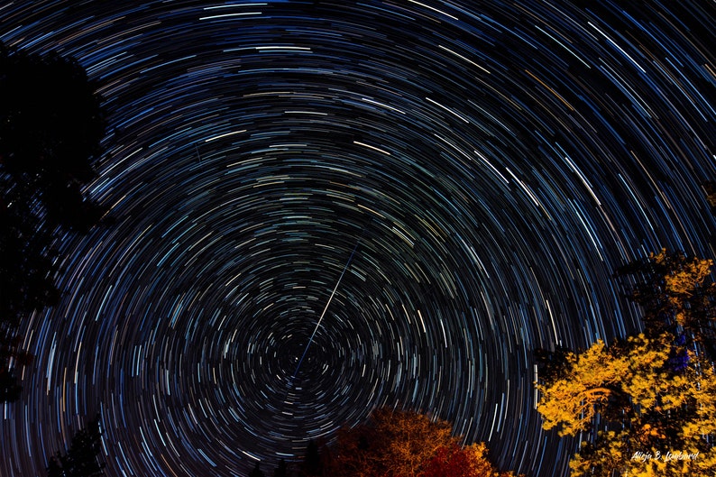 winters orbit winters orbit