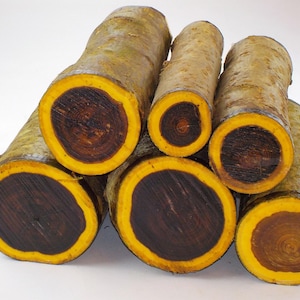May include: Several cut logs with a dark brown centre, a bright yellow ring, and a light brown exterior. The logs are stacked, displaying the contrasting colours and textures of the wood.