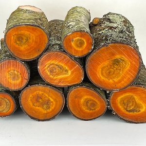 May include: A stack of eight cylindrical wood logs with rough, textured, lichen-covered bark on the exterior and vibrant, smooth, orange-red cross-sections showing distinct circular growth rings and natural wood grain patterns.