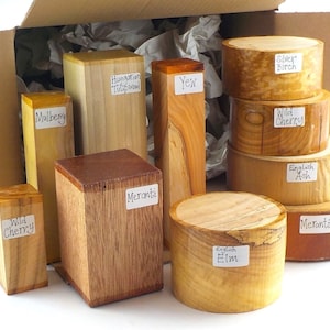 May include: Assortment of wood samples in various shapes and sizes, including blocks and cylinders. The wood types are labeled with their names, such as "Wild Cherry", "Mulberry", "Yew", "Silver Birch", "English Elm", "Meranti", and "English Ash".