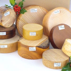 Op de afbeelding: Een verzameling ronde houten blokken van verschillende houtsoorten, waaronder iep, iroko, hulst, tamme kastanje, Hongaarse acacia, wilde kers, beuk, sapeli mahonie, paardenkastanje en Engelse eik, elk gelabeld met de naam en voorzien van hulsttakjes.