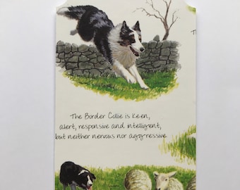 Marcador de página feito à mão para cachorro Border Collie, arte para cachorro pastor com borla