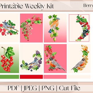 Pegatinas imprimibles del planificador Berry Bliss, kit semanal vertical, se adapta a Erin Condren y Recollection, A5 Wide Aura Estelle