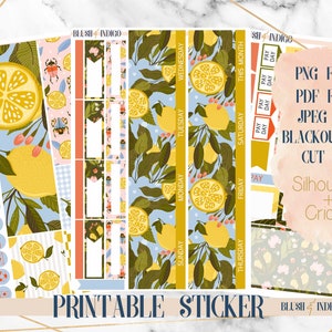 Pegatinas de planificador imprimibles de verano de flor de limón, kit de pegatinas mensuales imprimibles, se adapta a Erin Condren, Recuerdo, para Cricut y Silhouette
