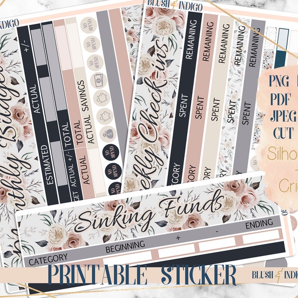 Printable Budget Sticker Kit | Planner Stickers (for Erin Condren ECLP and Recollection) JANUARY Collection