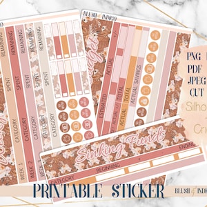 JULY Collection Printable Budget Sticker Kit / Planner Stickers (para Erin Condren ECLP y Recollection)