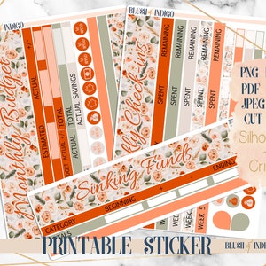 JUNE Collection Printable Budget Sticker Kit / Planner Stickers (para Erin Condren ECLP y Recollection)
