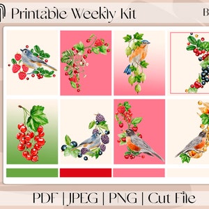 Berry Bliss MINI-7"x9" Pegatinas de planificador imprimibles, kit de pegatinas semanales verticales que se adapta a Erin Condren / Recollection, A5 Wide Aura Estelle