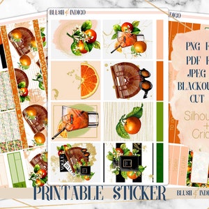 Pegatinas del planificador imprimibles de cítricos de verano, kit de pegatinas semanales imprimibles, se adapta a Erin Condren y recuerdo, pegatinas del planificador, archivos cortados