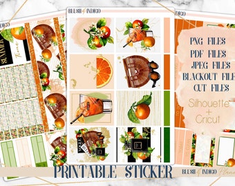 Pegatinas del planificador imprimibles de cítricos de verano, kit de pegatinas semanales imprimibles, se adapta a Erin Condren y recuerdo, pegatinas del planificador, archivos cortados