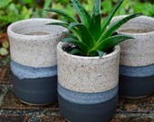 Modern Ceramic Succulent Planter, Matte Black and White Speckled Plant Pot, White Cactus Planter, Small Contemporary Windowsill Planter