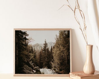 Mountain Stream Print, Minimal Forest Print, Nature Wall Art, Landscape Photography, Rocky Mountain National Park, Digital Download