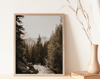 Forest Stream Print, Montañas de Colorado, Arte de pared de naturaleza mínima, Fotografía de paisaje, Parque Nacional de las Montañas Rocosas, Descarga digital