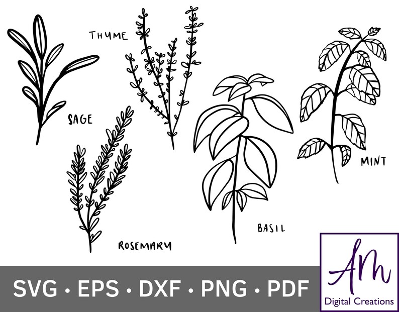 Hand Drawn Herbs SVG Rosemary Thyme Basil Sage Mint SVG Kitchen Herbs ...