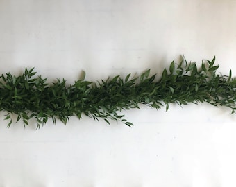 Real Italian Ruscus Greenery - 6FT