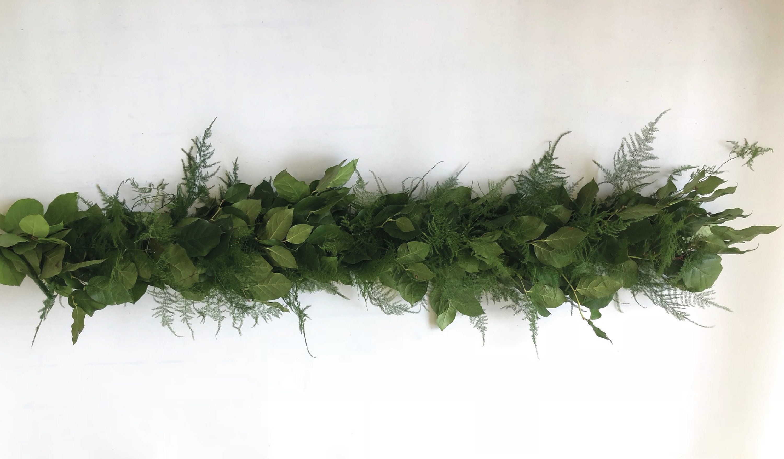 Real Lemon Leaf and Plumosa Garland Greenery 6FT Etsy