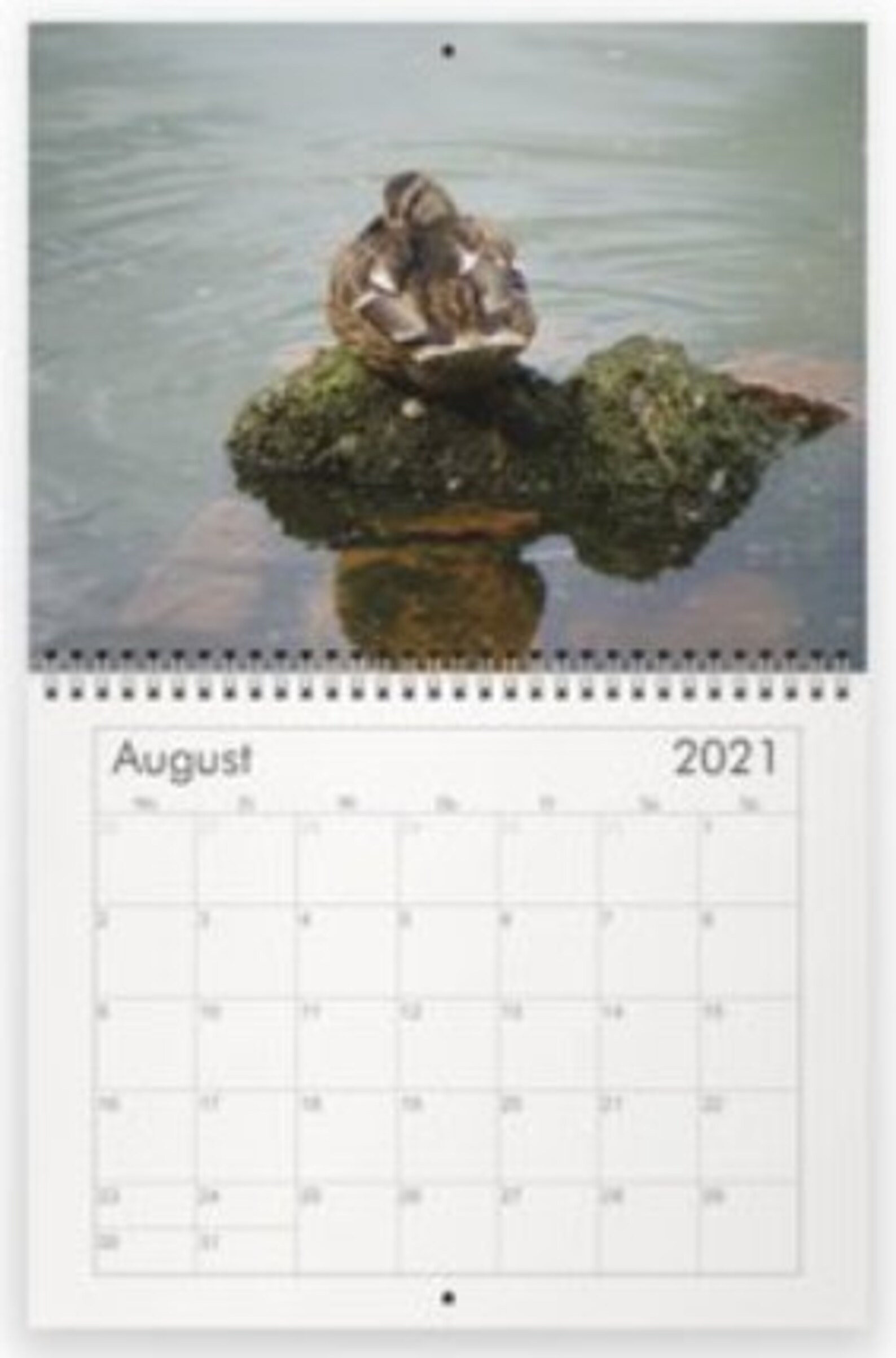 2021 nature calendar/ nature photography calendar/ 2021 Etsy