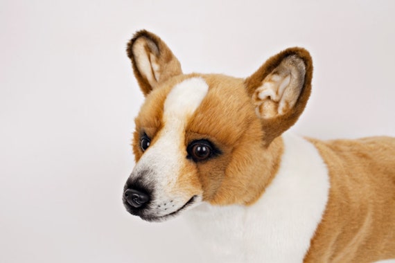 life size corgi stuffed animal