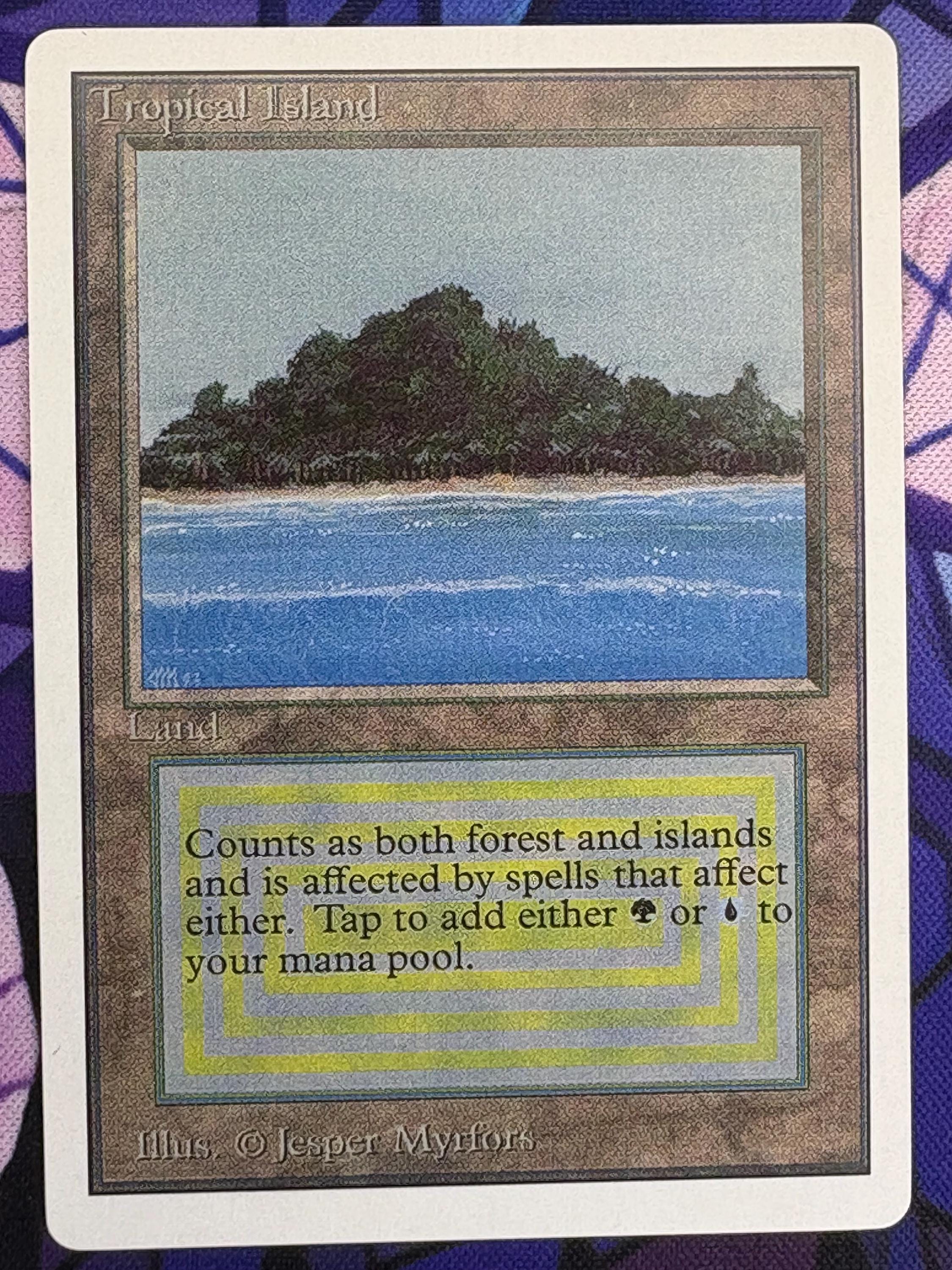 Tropical Island Mtg - Etsy