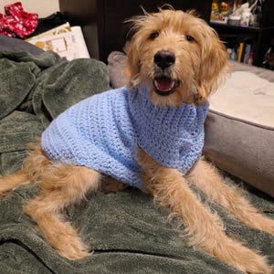 Custom Crochet Dog Sweater | Handmade Cozy, Soft, Lightweight Pet Clothes for Dogs