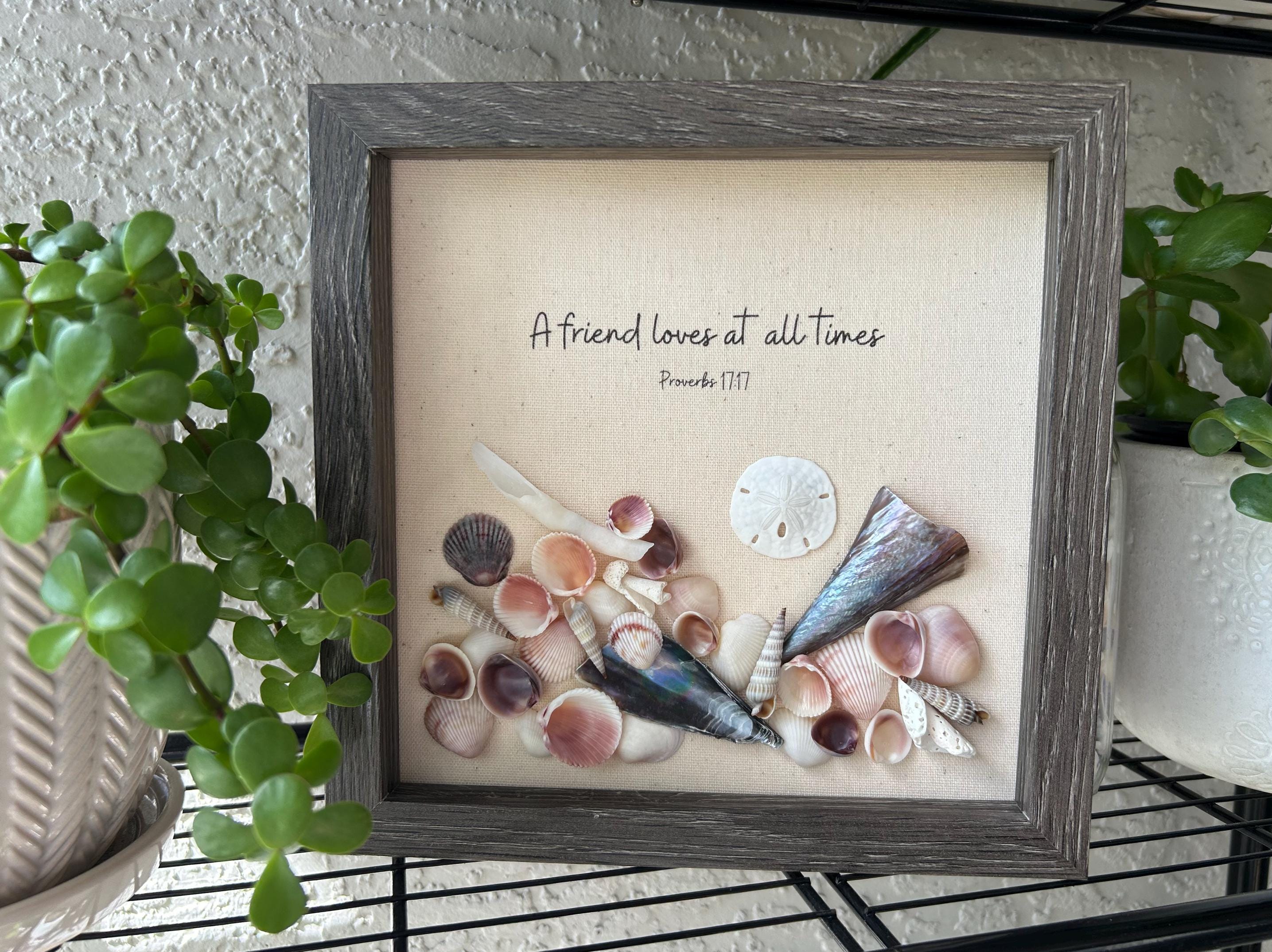 A Friend Loves Shell Shadow Box - You Choose Frame Color! - Etsy
