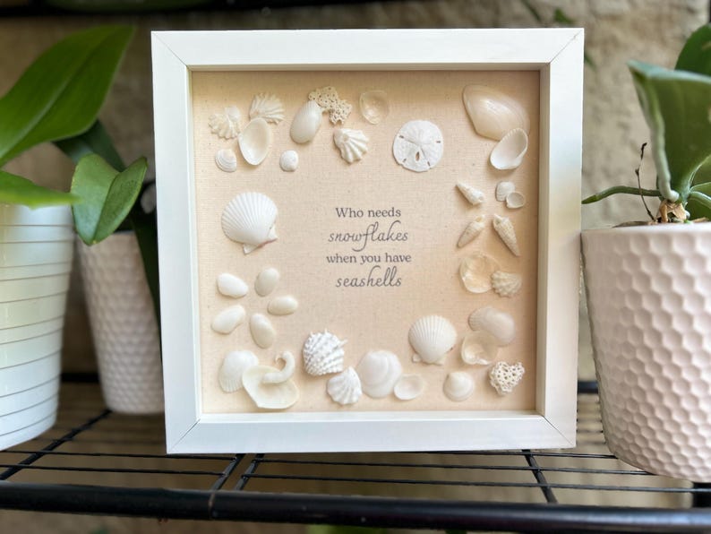 Snow Shells Shadow Box / Florida Shells - Etsy