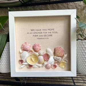 We Have Hope Shadow Box / Florida Shells