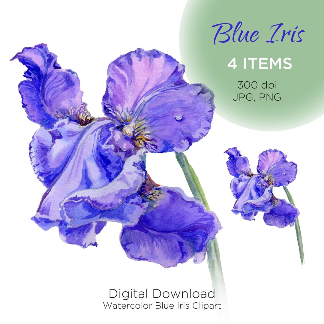 Watercolor Blue Iris, Flower Prints, Digital Download, Watercolor Flowers, Farmhouse Decor, Iris