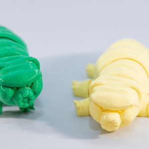 Tardigrade - Water Bear - Fidget Toy - Stress Toy