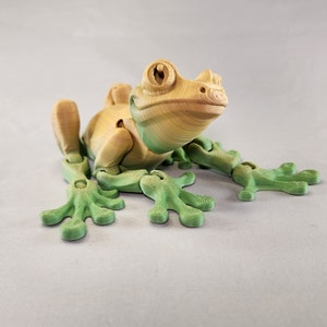 May include: A 3D printed articulated frog toy with a green and yellow color gradient. The frog has a detailed face and articulated limbs.