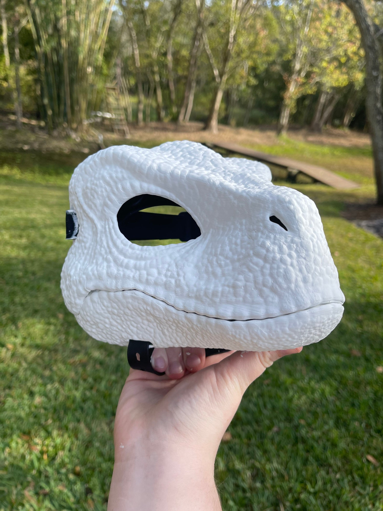 Paint Your Own Raptor Mask Etsy