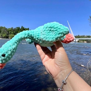 May include: A teal blue crocheted stuffed goose with a pink beak and feet. The goose is being held by a hand in front of a river and trees.