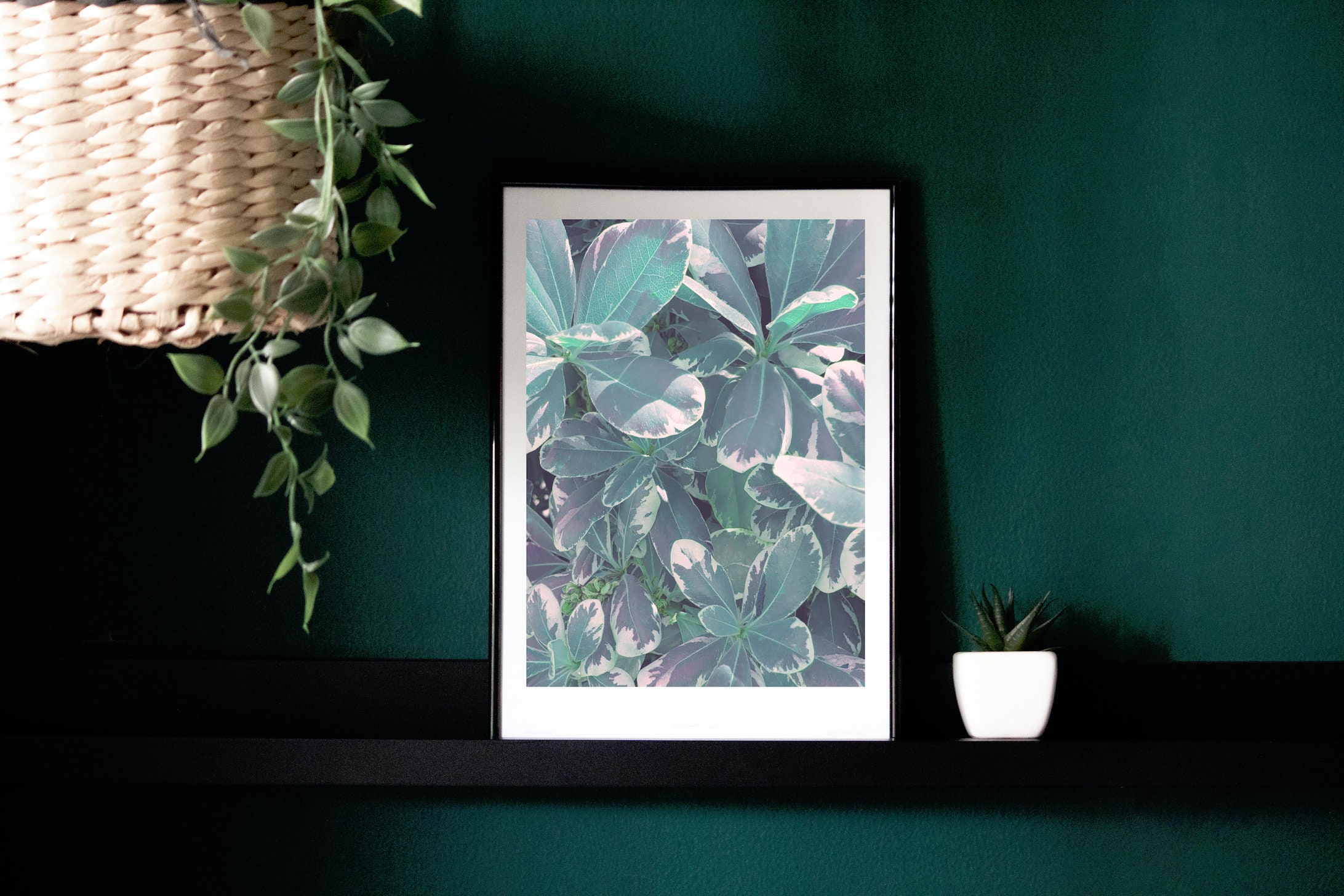 Plant Printable Art Plant Instant Download Printable Wall Art Modern Boho Home Decor Plants ...