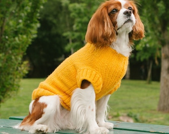 Hand Made Sweaters/pet clothing/Dog Sweater/Dog Cloths/puppy Clothes/Prt Apparel