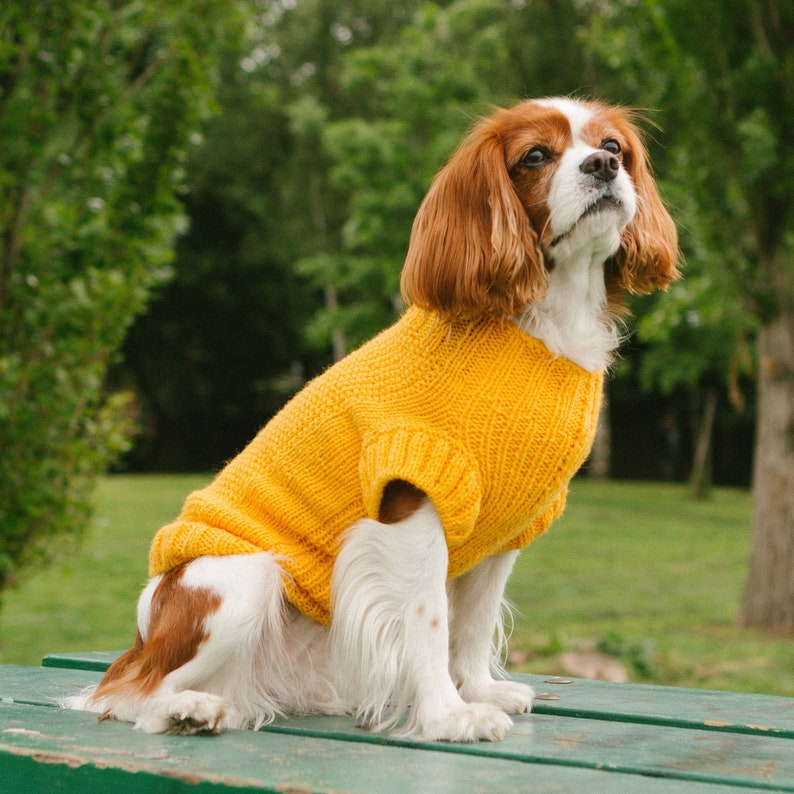 Hand Made Sweaters/pet clothing/Dog Sweater/Dog Cloths/puppy Clothes/Prt Apparel image 1
