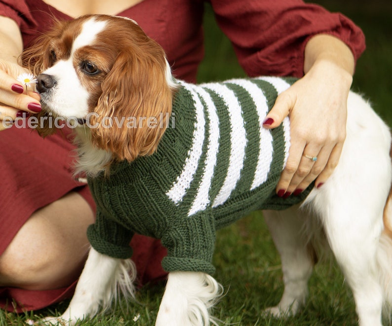 Hand Made Sweaters/pet clothing/Dog Sweater/Dog Cloths/puppy Clothes/Prt Apparel image 6