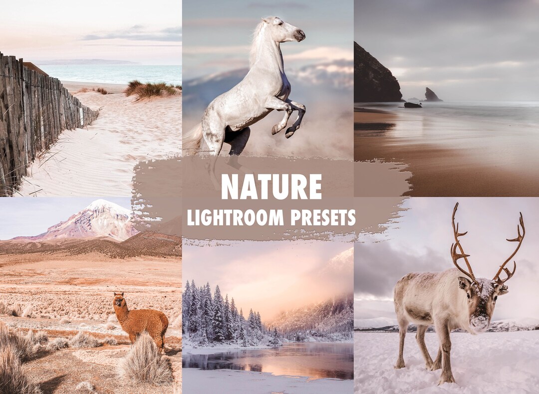 10 Nature Lightroom Presets Mobile Desktop Bright, Earth Tones, Warm