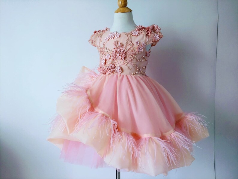 Flower Girl Dress Feathers Birthday Dress Girl Party Pink Etsy