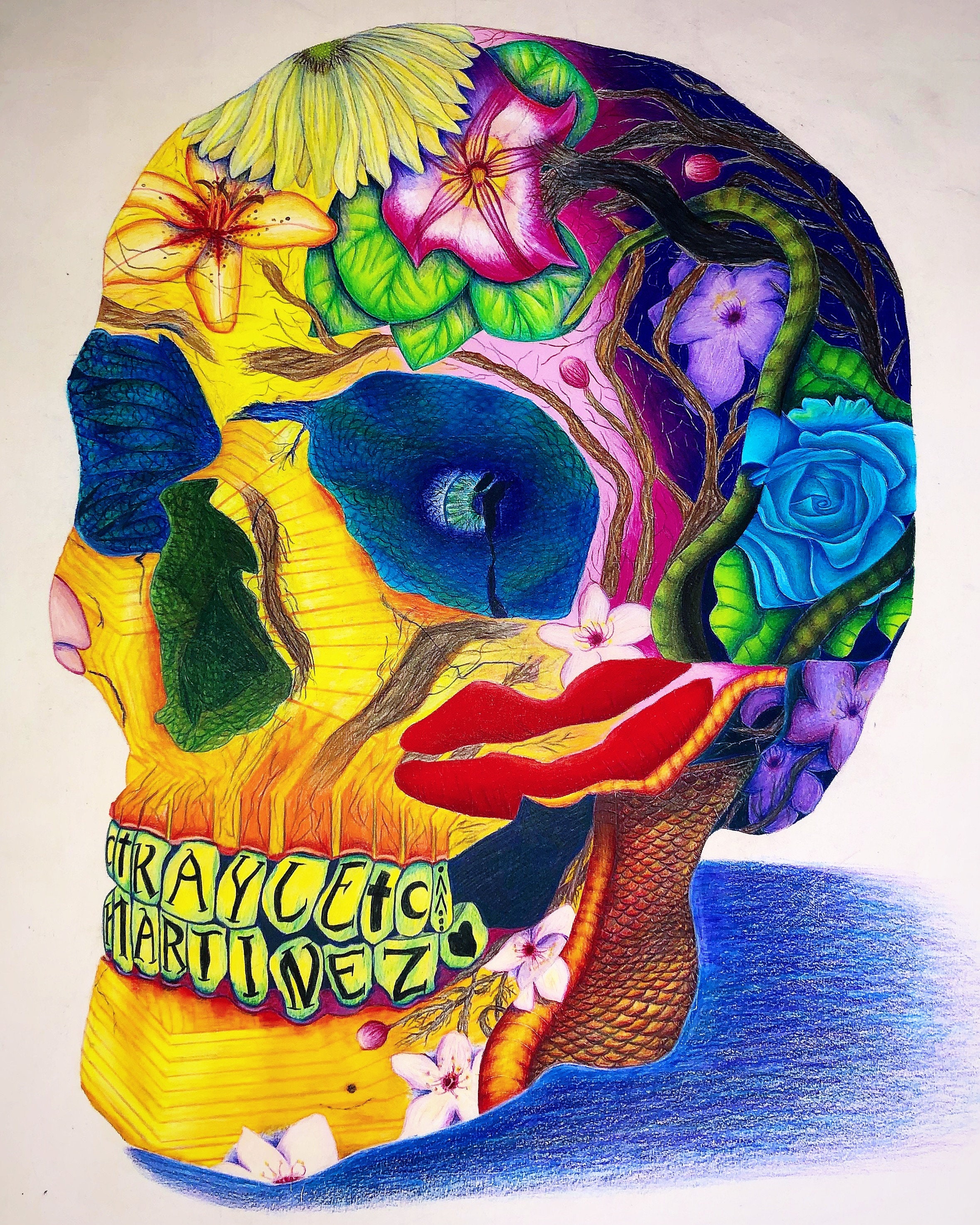 22 X 30 Abstract Colored Pencil Skull Drawing Etsy