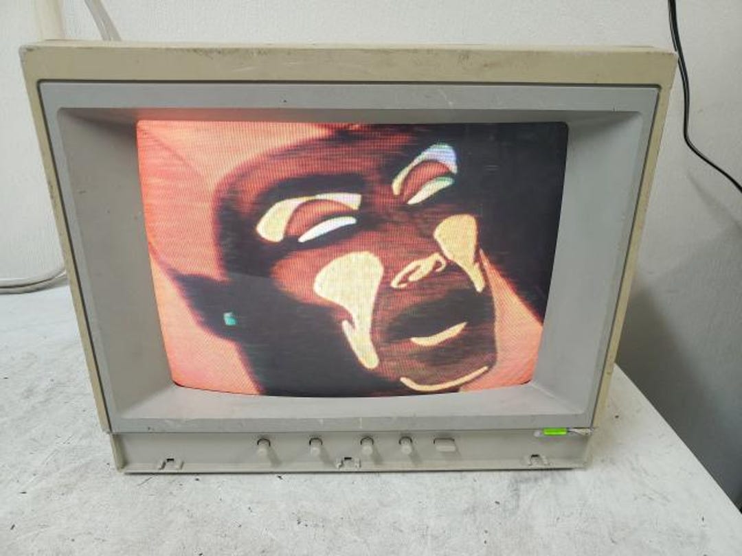 Vintage Apple A2M6021 Applecolor Composite 13
