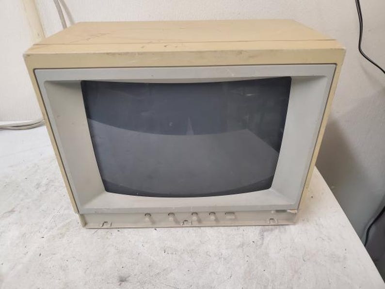 Vintage Apple A2M6021 Applecolor Composite 13