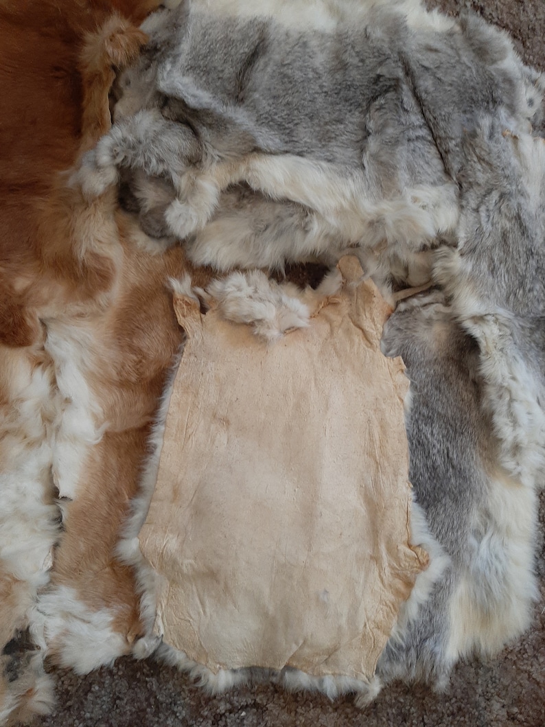 Rabbit Pelts Grey Or Cream Etsy