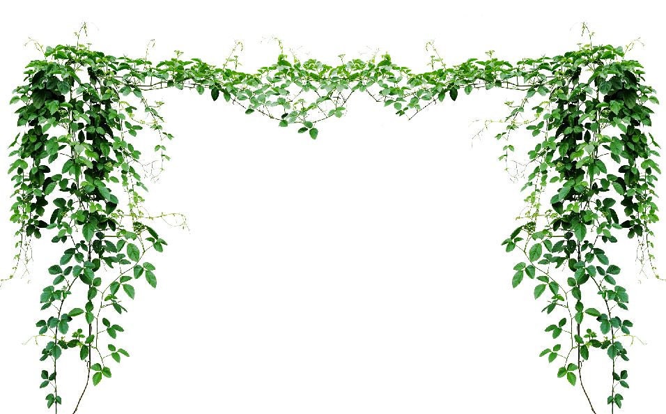 Spring Vines2 photography backdrop floor drop studio Etsy