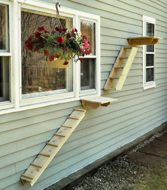 Outdoor Cedar Cat Wall System 44 Inch Ramp Weather Resistant to