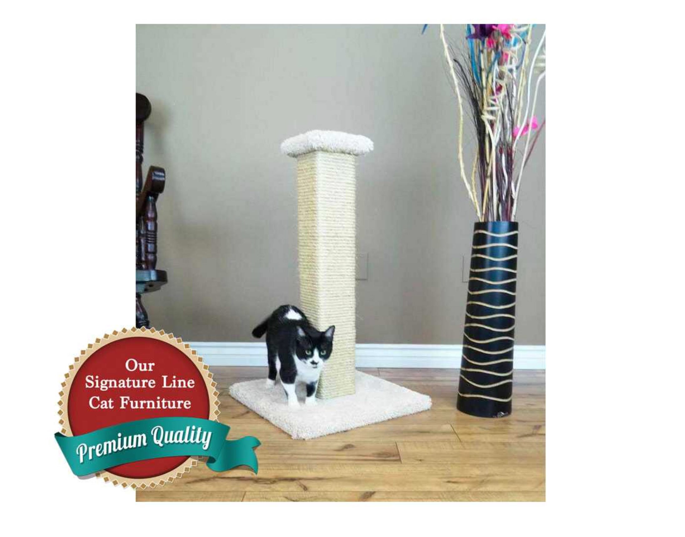 cat loves scratching post